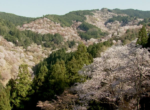 吉野町の暮らし