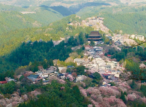 吉野町の仕事